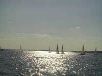 doch nicht so winterlich